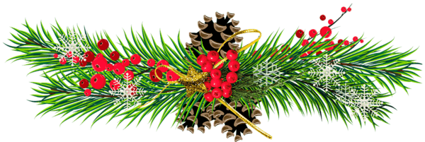 christmas-branch-3805461-960-720